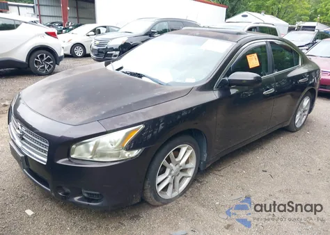 2011 Nissan Maxima 3.5 S z USA, uszkodzony, nr VIN 1N4AA5AP0BC812481